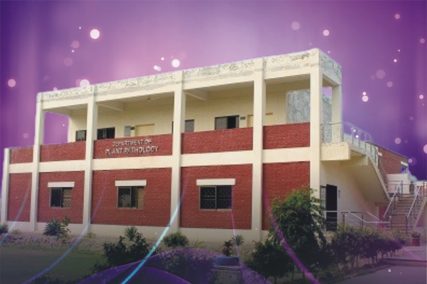 Faculty of Agricultural Sciences and Technology - Photo 